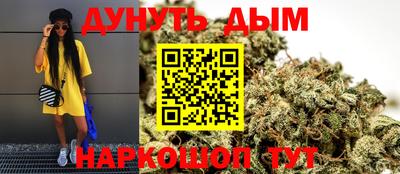 spice Кингисепп