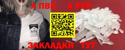 spice Кингисепп