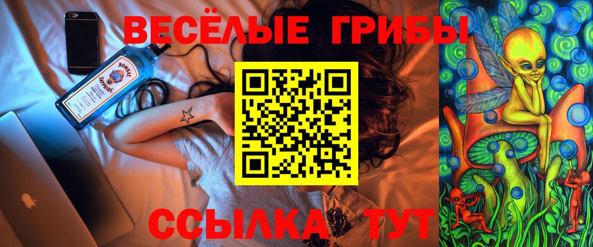Псилоцибиновые грибы прущие грибы  Вход с VPN  Псилоцибиновые грибы GOLDEN TEACHER  купить  цена  Ульяновск 