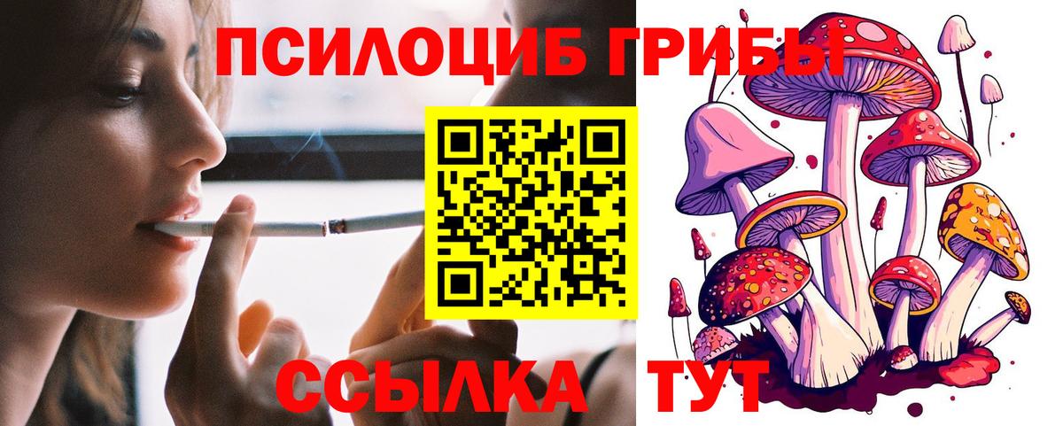 Псилоцибиновые грибы прущие грибы Ульяновск
